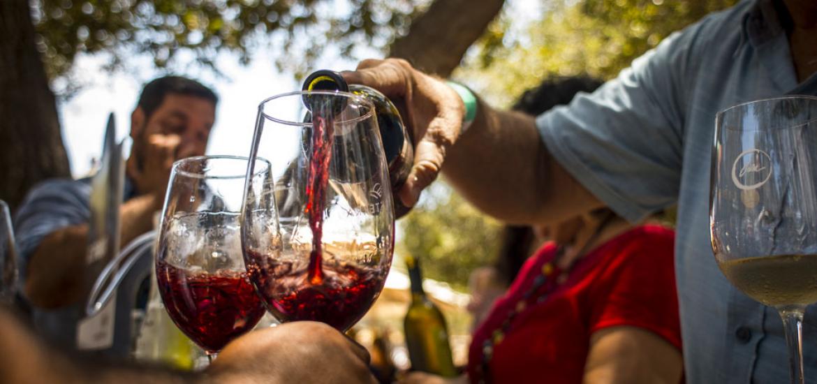 Página zero - valle de Guadalupe 