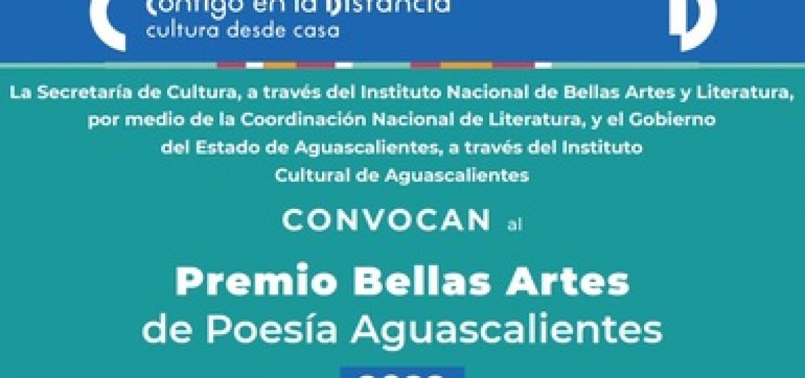 Página Zero - Bellas Artes