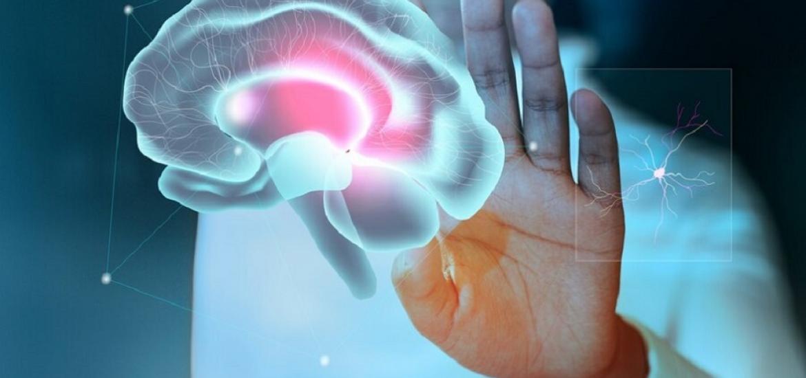 Página Zero - Neuromarketing