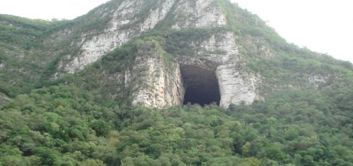 Página Zero - Cueva de los murciélagos