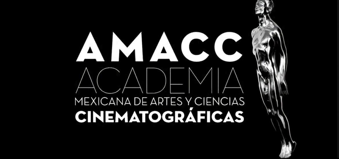 logo amacc