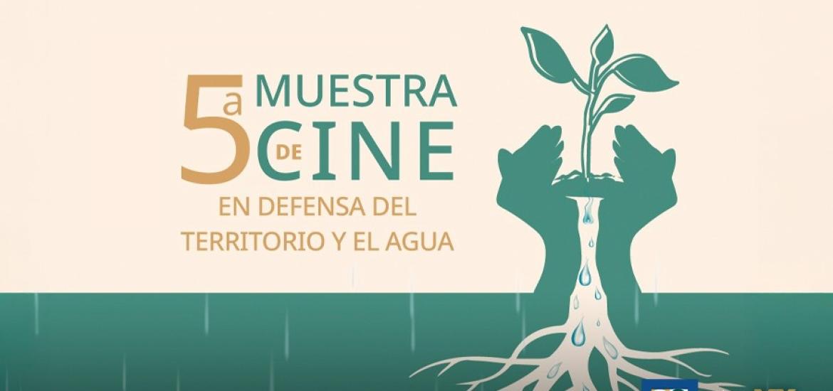 5muestra