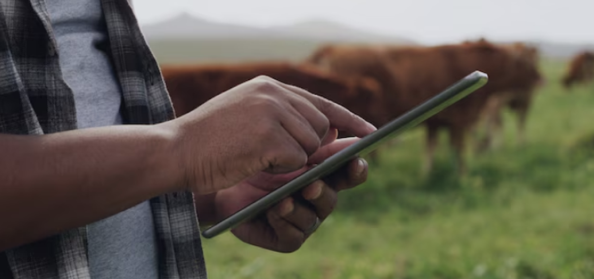 servicios financieron