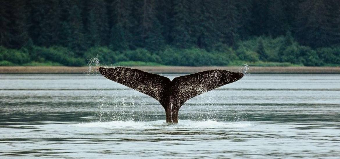 7maravillas-deon-van-zyl