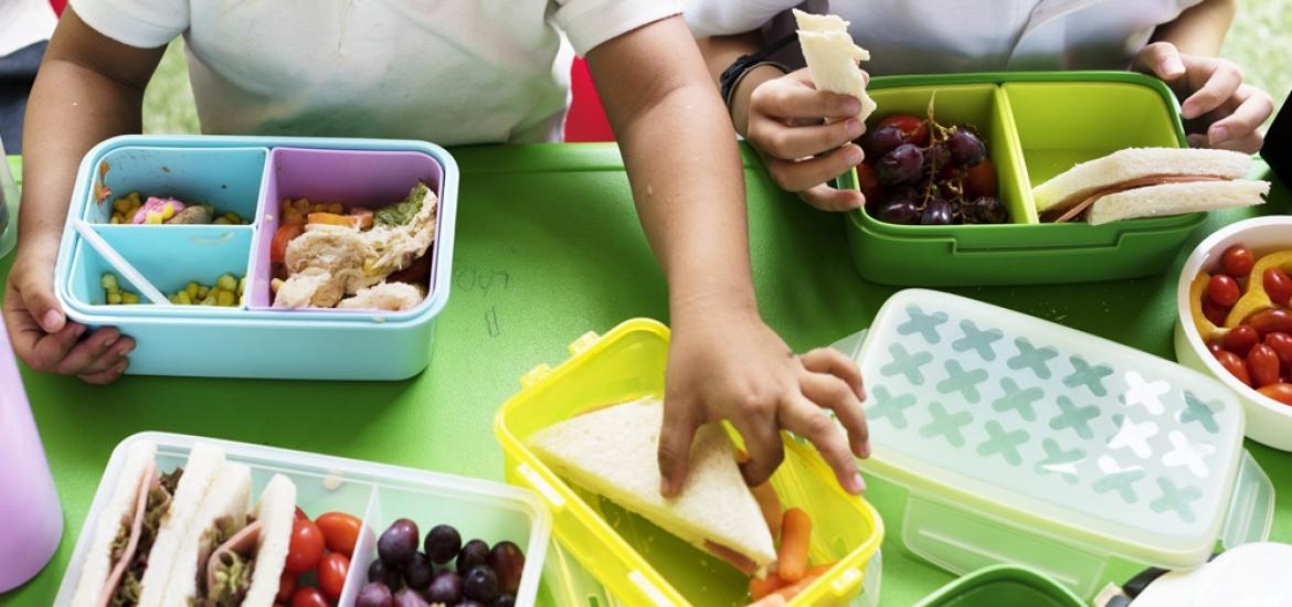 LunchSaludableDanonino