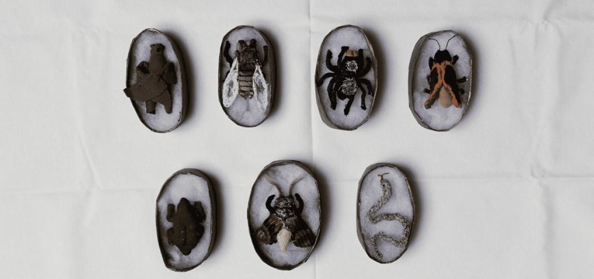 artesvisuales_fic_2025