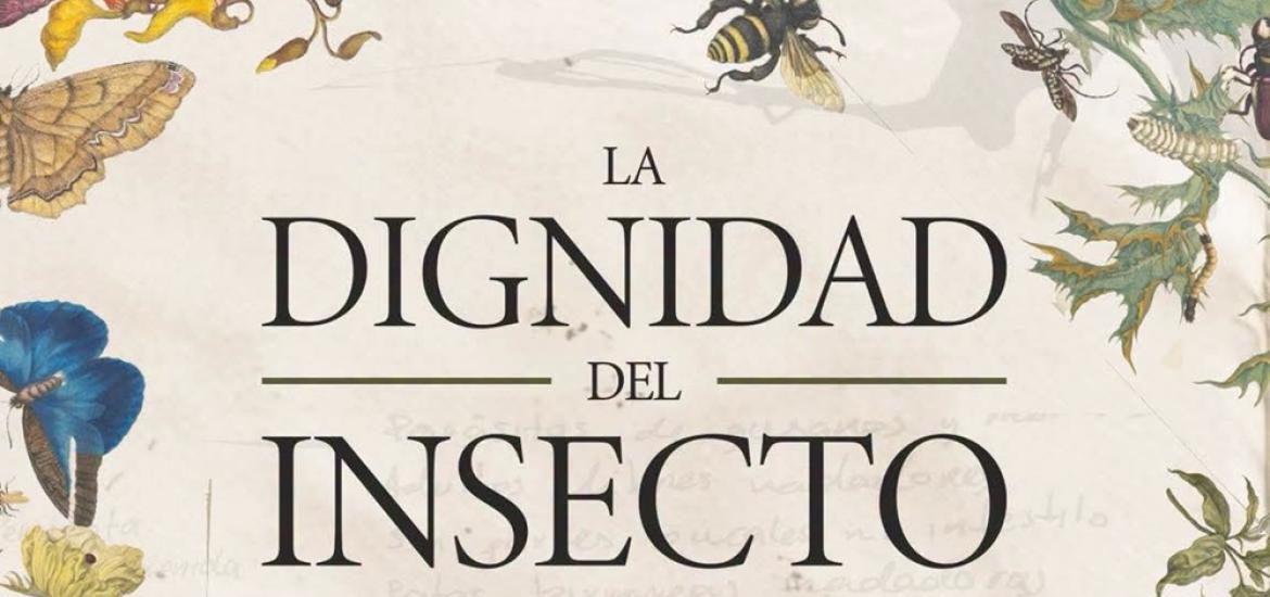 dignidadinsecto