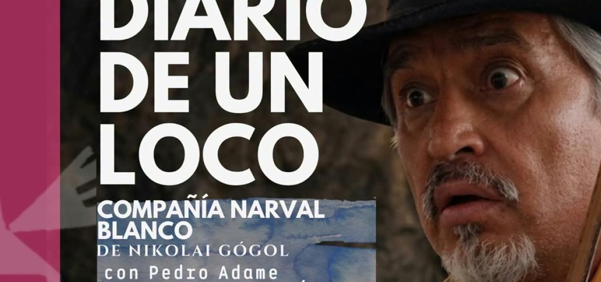 diariodeunloco