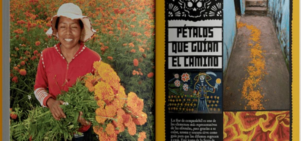 petalos