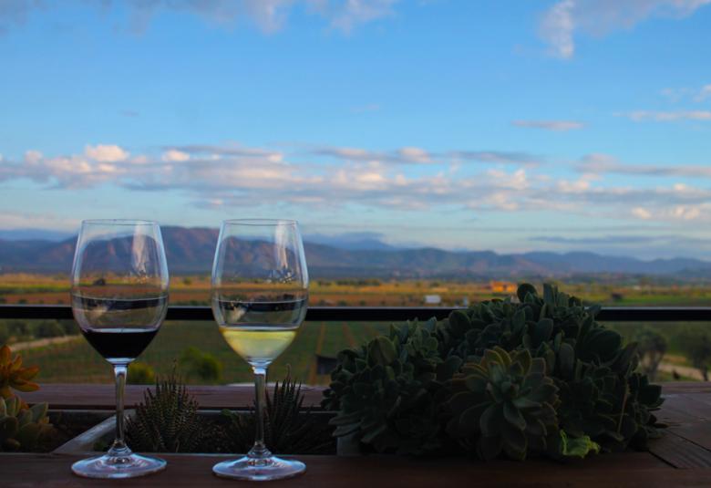 Página zero - vinos del valle de Guadalupe 