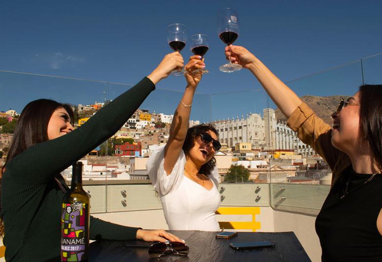 Página Zero - vendimias Guanajuato 