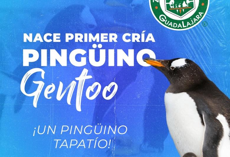 Imagen Facebook Zoológico Guadalajara