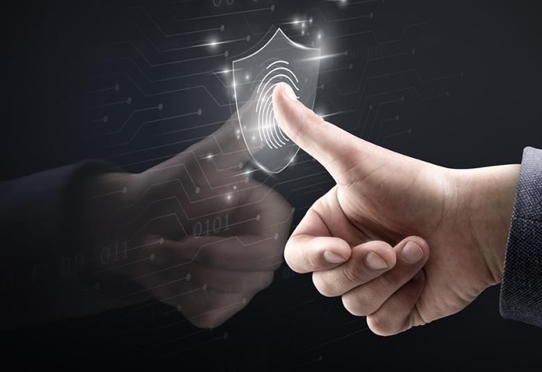 Pagína Zero - ciberseguridadportal