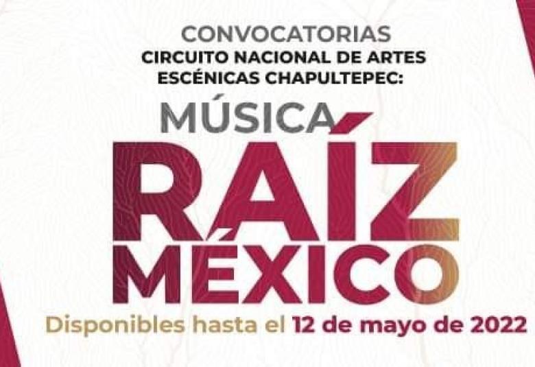 Página Zero - Raíz México