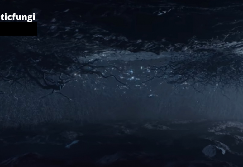 Página Zero - Mycel Bridge