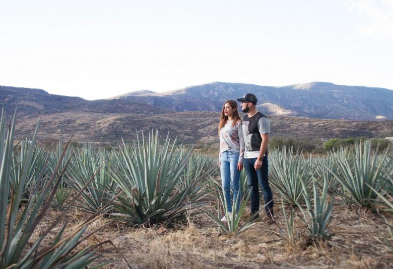 Página Zero - Gto Tequila