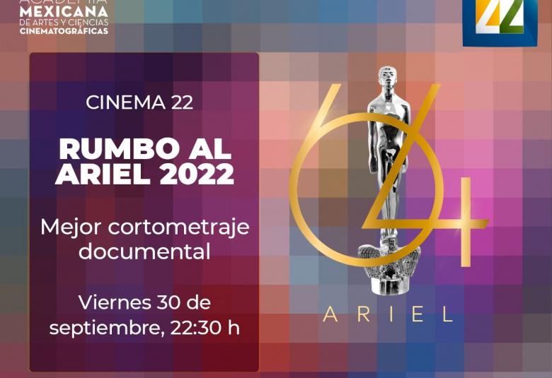 Pagina Zero - ariel