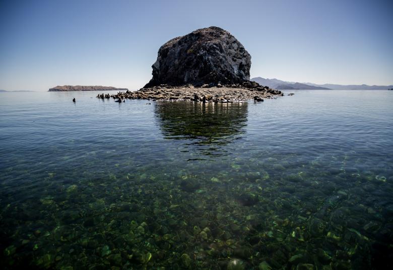 Pagina Zero - Bahía de los ángeles