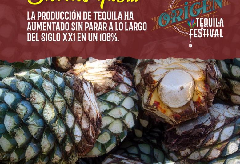 Origen Festival Tequila