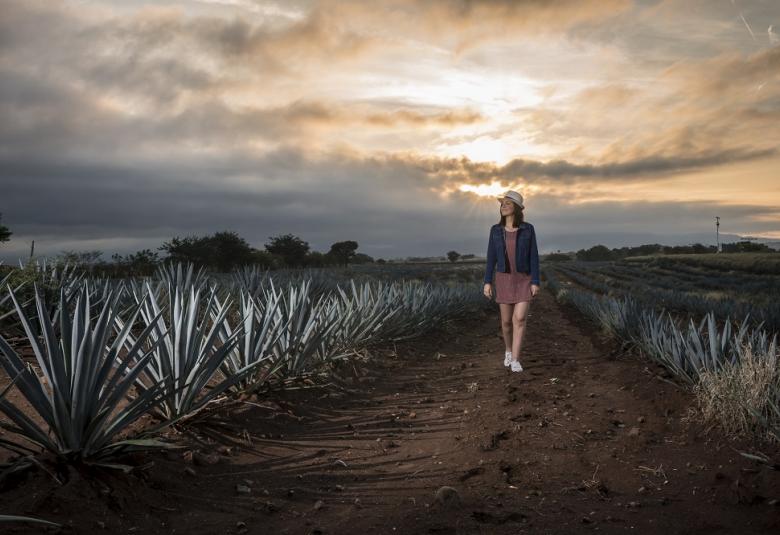 Pagina Zero - Ruta del Tequila