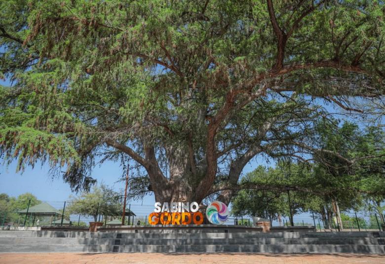 PARQUE SABINO GORDO