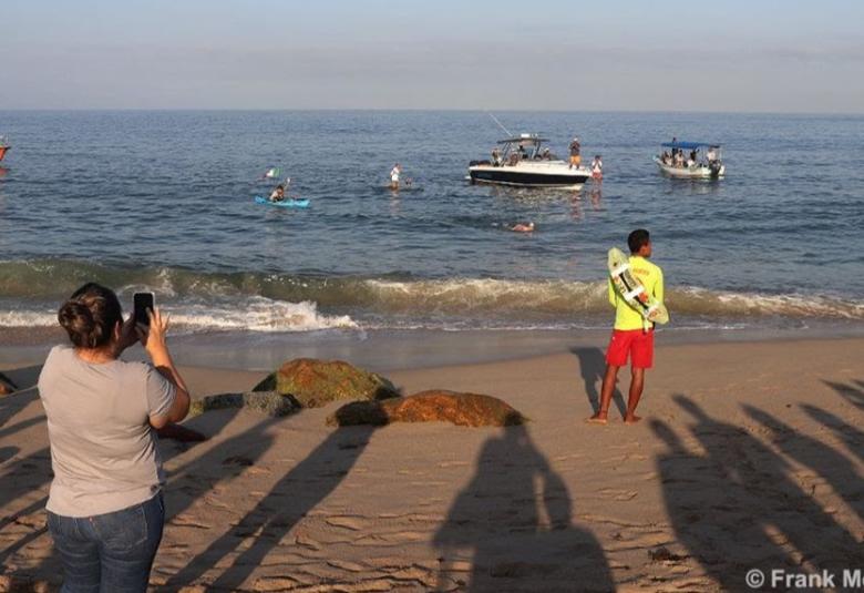 Nado por las Ballenas