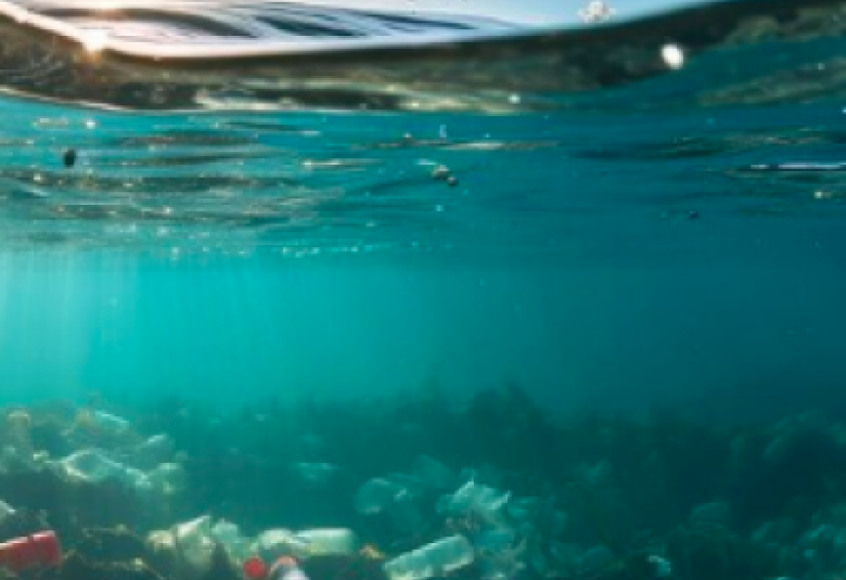 microplasticos