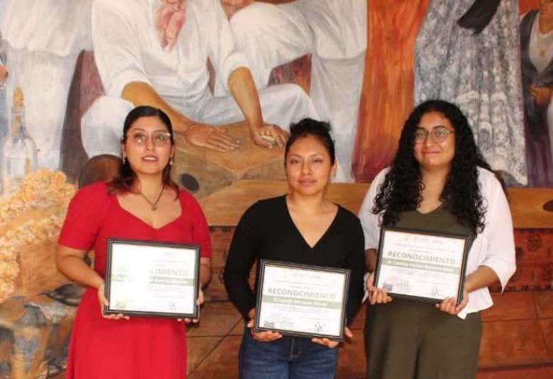 premiosjoven2025