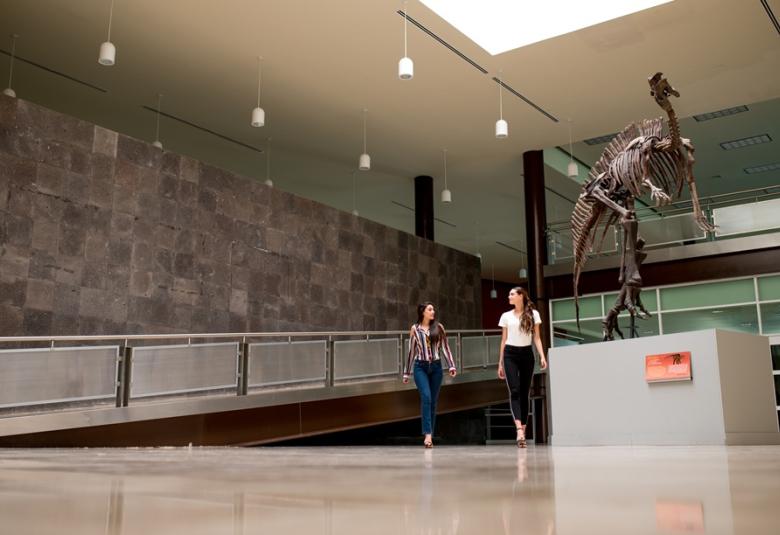museochihuahuense