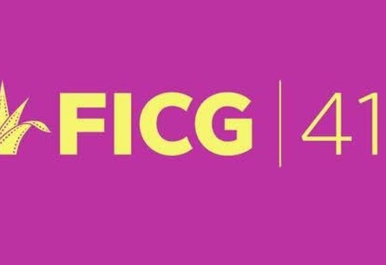 ficg41