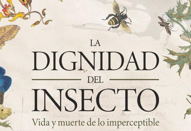 dignidadinsecto