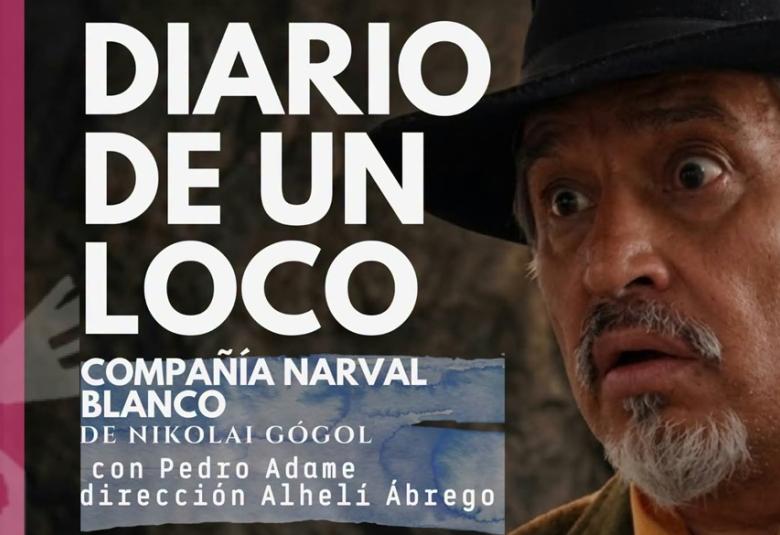 diariodeunloco