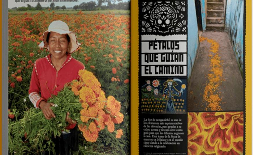 petalos