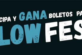 flowfest